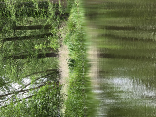 20250519_Spreewald_ (16)